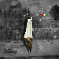 Mirror of the Map of Palestine