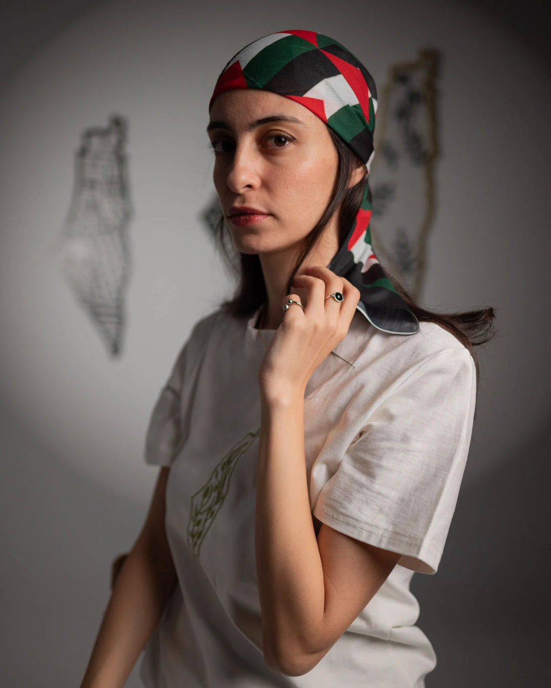 Palestine Olive Map Embroidered Cotton T-Shirt